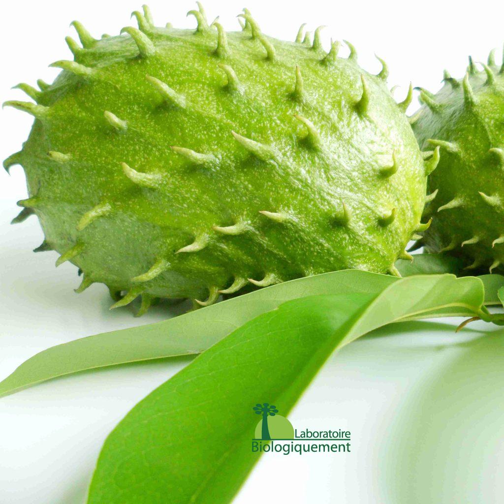 acheter en ligne du graviola corossol anticancer naturel puissant Annona muricata