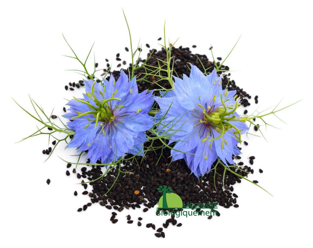 Acheter de l'huile de graines de nigelle bio sur la boutique biologiquement.shop